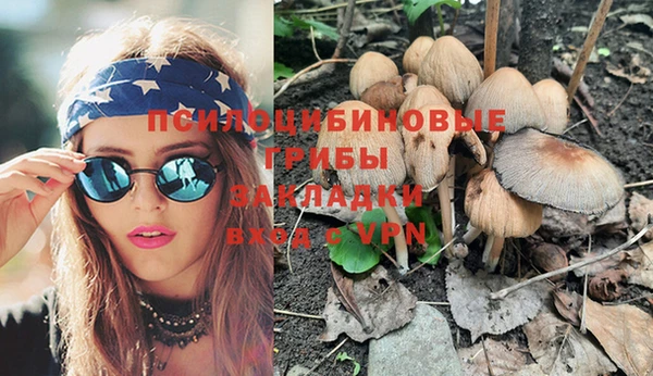 a pvp Рославль