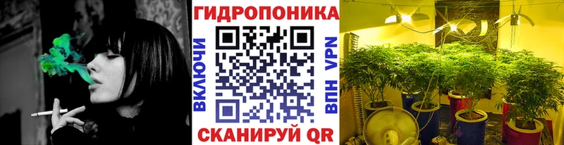 Купить закладки  Старый Крым  Конопля индика 